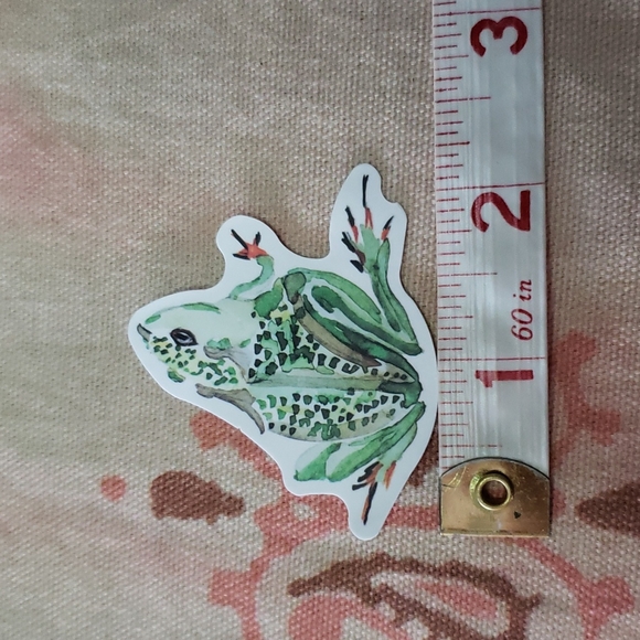 (F) Frog Sticker 🐸 - Picture 3 of 4